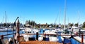 Glenelg Marina View