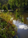 Glenelg river