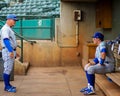 Glenn Hubbard and Chad Johnson, Lexington Legends