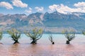 Glenorchy water lake with mountain and blue sky New Zealand Royalty Free Stock Photo
