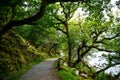 Glenveagh National Park, Donegal in Northern Ireland. Beautiful rough landscape with green moss forest, lake, park and Royalty Free Stock Photo