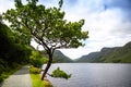 Glenveagh National Park, Donegal in Northern Ireland. Beautiful rough landscape with green moss forest, lake, park and