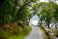 Glenveagh National Park, Donegal in Northern Ireland. Beautiful rough landscape with green moss forest, lake, park and Royalty Free Stock Photo