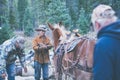 Hunters gear up and saddle up horses to pack out after an elk hunting trip