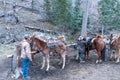 Ranchhands saddle up horses for a hunting trip at a campground in the Gila National