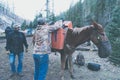 Ranchhands saddle up horses for a hunting trip at a campground in the Gila National