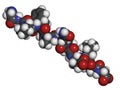 Gliadin derived peptide. Immunogenic breakdown product of gliadin (gluten), playing an essential role in celiac disease Royalty Free Stock Photo