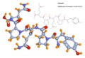 Gliadin molecule, component of gluten