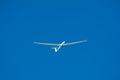 Glider in flight Royalty Free Stock Photo