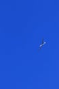 Glider plane in the clear blue sky Royalty Free Stock Photo