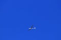 Glider plane in the clear blue sky Royalty Free Stock Photo