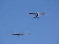Glider pulled by a motorized plane. Glider airplane stands out f