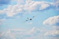 Glider, sailplane flying against blue cloudy sky