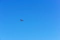 A small aircraft soars in the blue sky, glider in the sky Royalty Free Stock Photo