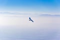 Gliders and dramatic foggy sky