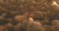 Gliding drone camera capturing dense cumulus cloud field at high altitude, with warm sunlit glints Royalty Free Stock Photo