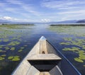 Gliding among water lilies on Skadar lake in a wooden boat