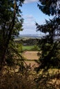 A countryside view gilmpsed through trees Royalty Free Stock Photo