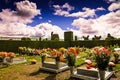 Topiary Cemetery From Tulcan, Carchi, Ecuador Royalty Free Stock Photo