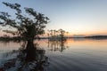 Water Trees And Palms