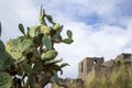 A Glimpse of the Ruins of the Mausoleum of Tredoliche. Landscape From the Ruins of Cirella, an Abandoned Village for a Century in