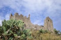 A Glimpse of the Ruins of the Mausoleum of Tredoliche. Landscape From the Ruins of Cirella, an Abandoned Village for a Century in