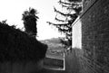 A glimpse with a view from an alley with a palm tree in a medieval Italian village Marche, Italy