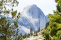 Glimpsing the Majestic Half Dome Mountain Peak Royalty Free Stock Photo