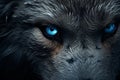 Glimpsing the Soul: Unveiling the Enigmatic Allure of the Eyes of the Wolf Royalty Free Stock Photo