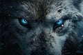 Glimpsing the Soul: Unveiling the Enigmatic Allure of the Eyes of the Wolf Royalty Free Stock Photo