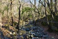 Glinscica water stream in Val Rosandra