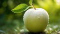 glisten white apple fruit