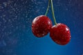 Glistening Cherry Berries: A Close-Up Splash