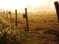 Glistening Country fence line at sunrise Royalty Free Stock Photo