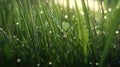 glistening dewdrops adorn fresh spring grass, digital art illustration, Generative AI Royalty Free Stock Photo