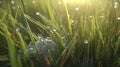glistening dewdrops adorn fresh spring grass, digital art illustration, Generative AI Royalty Free Stock Photo