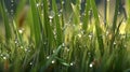 glistening dewdrops adorn fresh spring grass, digital art illustration, Generative AI Royalty Free Stock Photo