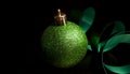 Glistening green ornament and ribbon