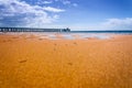 Glistening sand with Point Lonsdale Jetty in the background Royalty Free Stock Photo