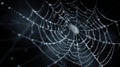 glistening spiderweb covered in dew drops Royalty Free Stock Photo