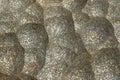 Glistening surface of marcasite mixed with pyrite. Natural mineral stone background