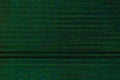 Glitch art pixel noise green striped pattern