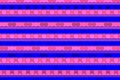 Glitchy pixelated pattern background in blue and pink colors