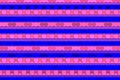 Glitchy pixelated pattern background in blue and pink colors