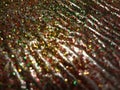 Glitter clear pattern on colorful rainbow defocus background. Holiday boke