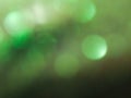 Glitter clear pattern on dark green defocus background. Holiday boke