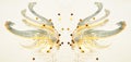 Glitter and glittering stars on abstract gold and black watercolor wings in vintage nostalgic colors.