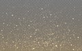 Glitter gold effect. Luxury particles for poster, greeting card or website. Bright shining sparks. Flying gold dust Royalty Free Stock Photo