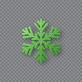 Glitter green snowflake.