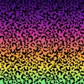 Funky Leopard Print on Gradient Background Royalty Free Stock Photo